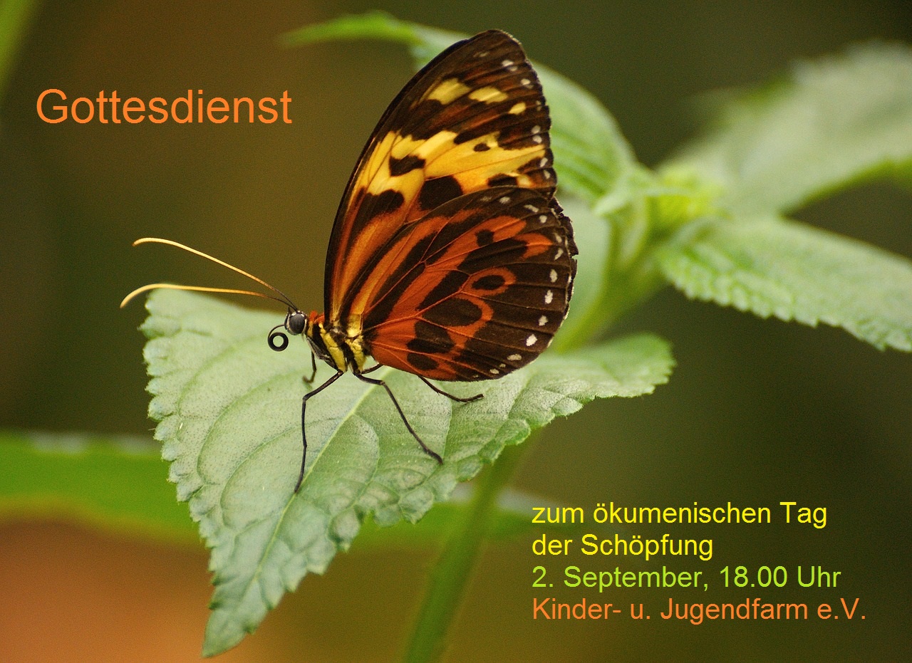 SchoepfungsgottesdienstPIXA
