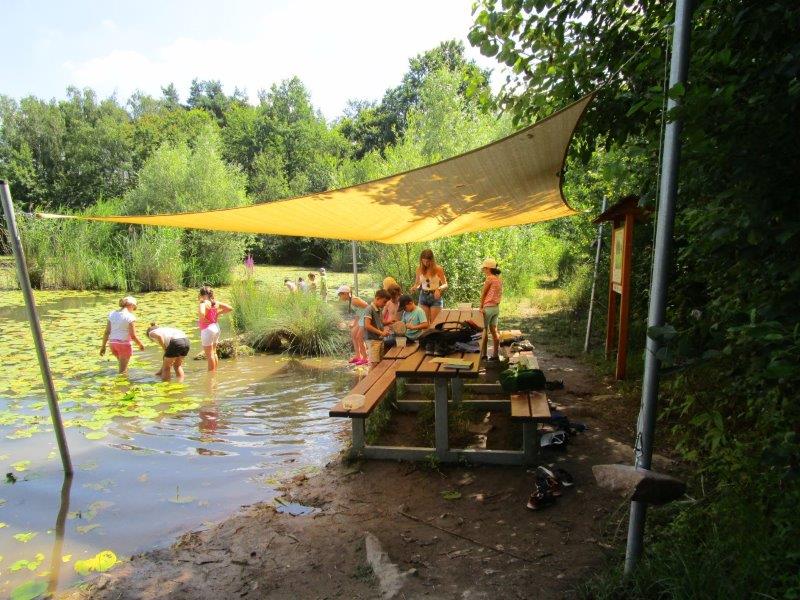 img0701