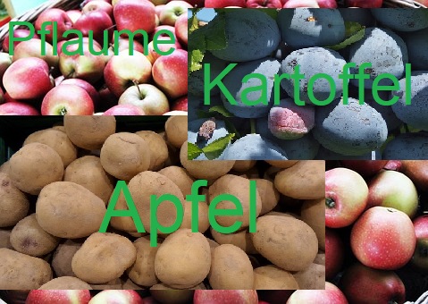 aepfelkartoffelpflaume-a